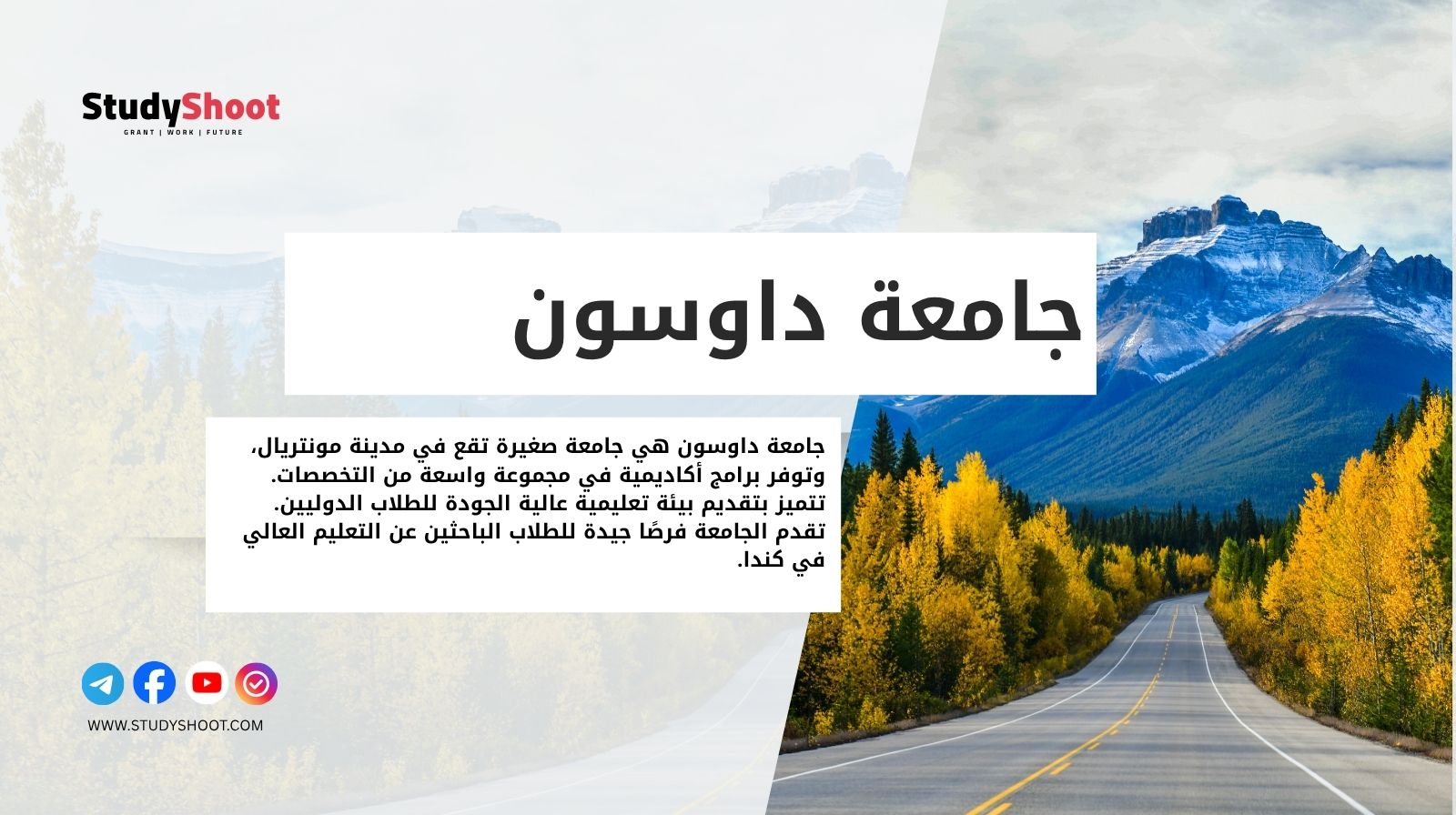 جامعة داوسون