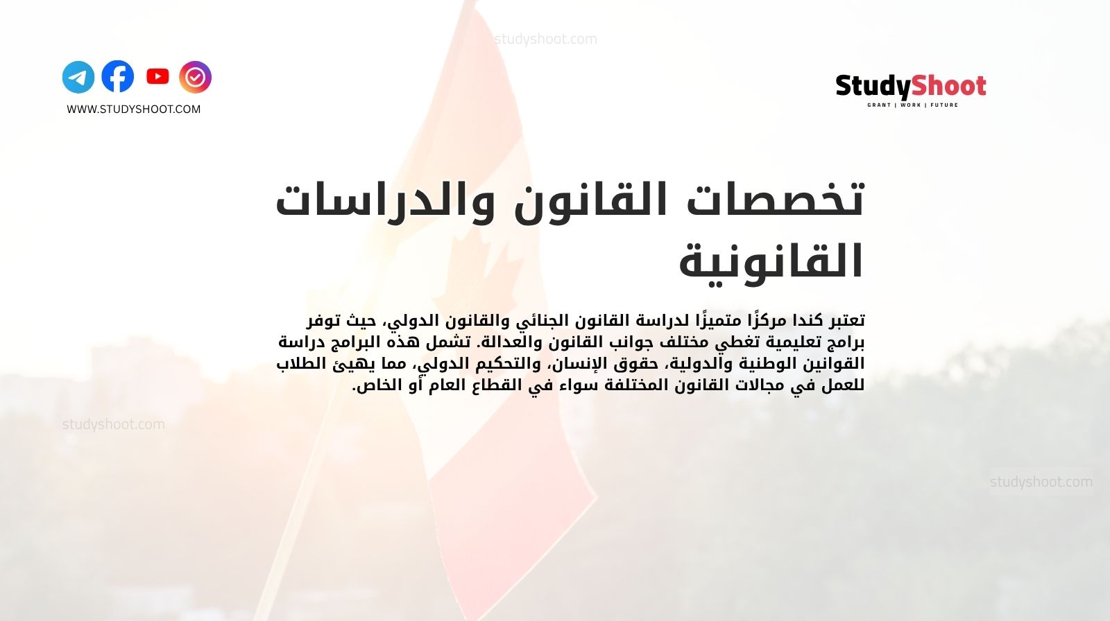 تخصصات القانون والدراسات القانونية