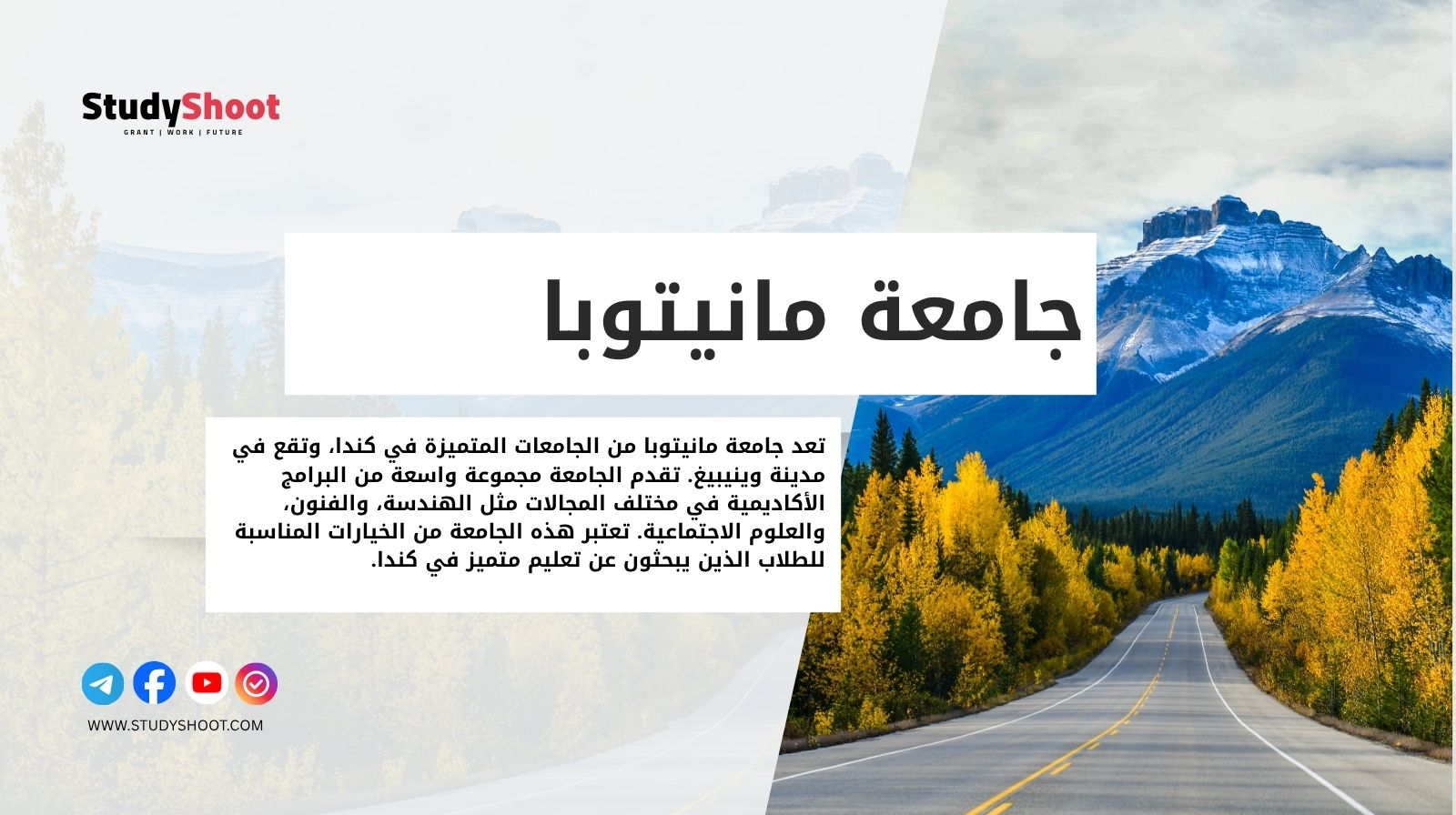 جامعة مانيتوبا