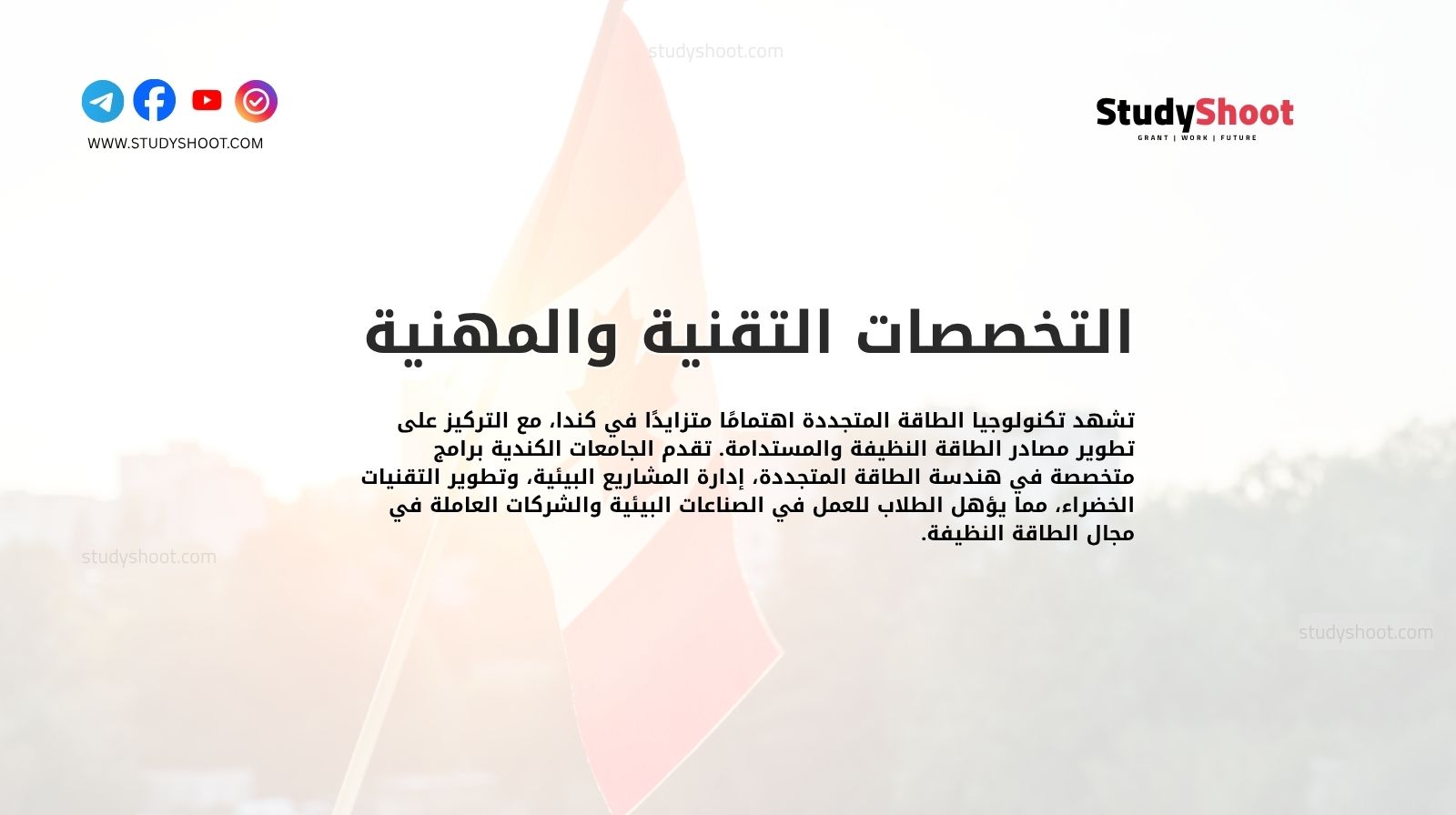 التخصصات التقنية والمهنية