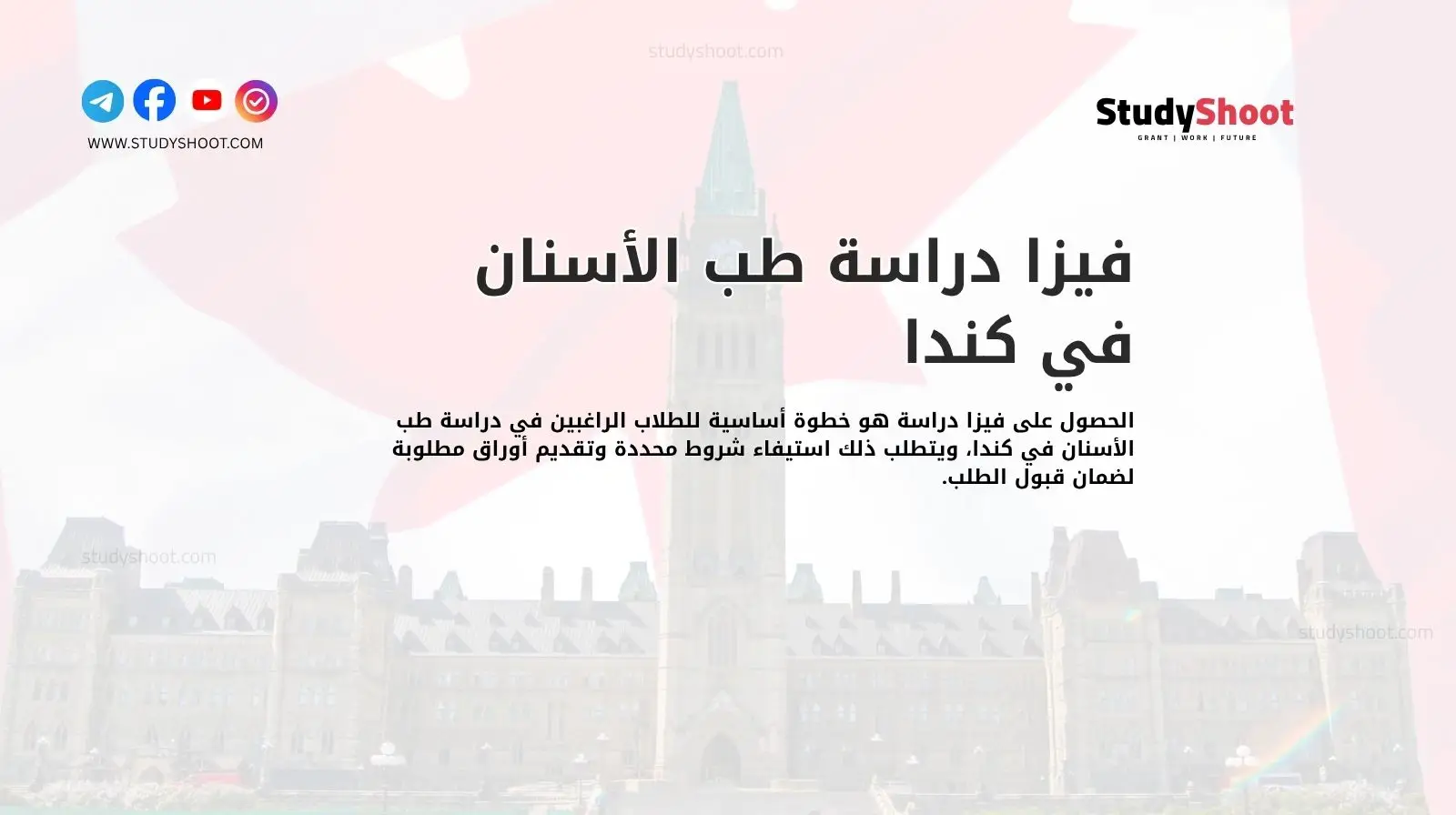 فيزا دراسة طب الأسنان في كندا