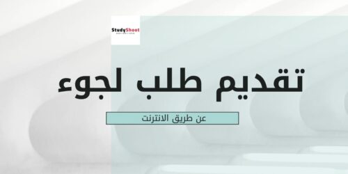 خطوات تقديم طلب لجوء عن طريق الانترنت