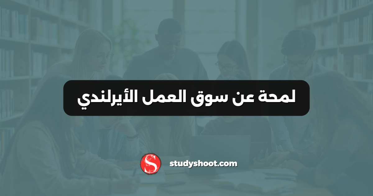 لمحة عن سوق العمل الأيرلندي