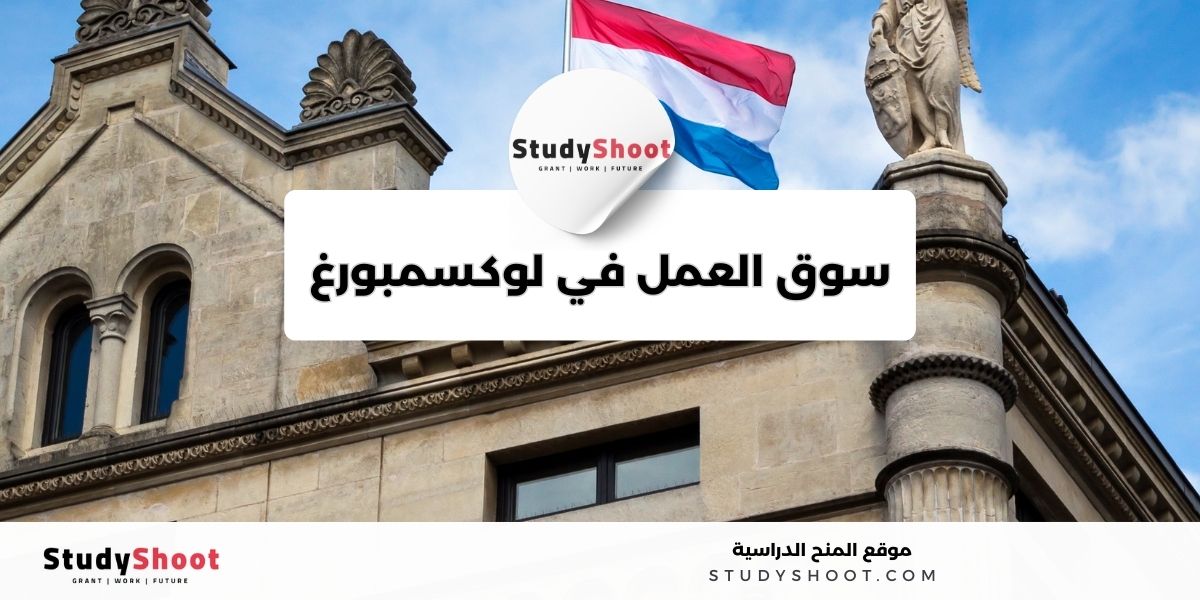 image thumb studyshoot website 59