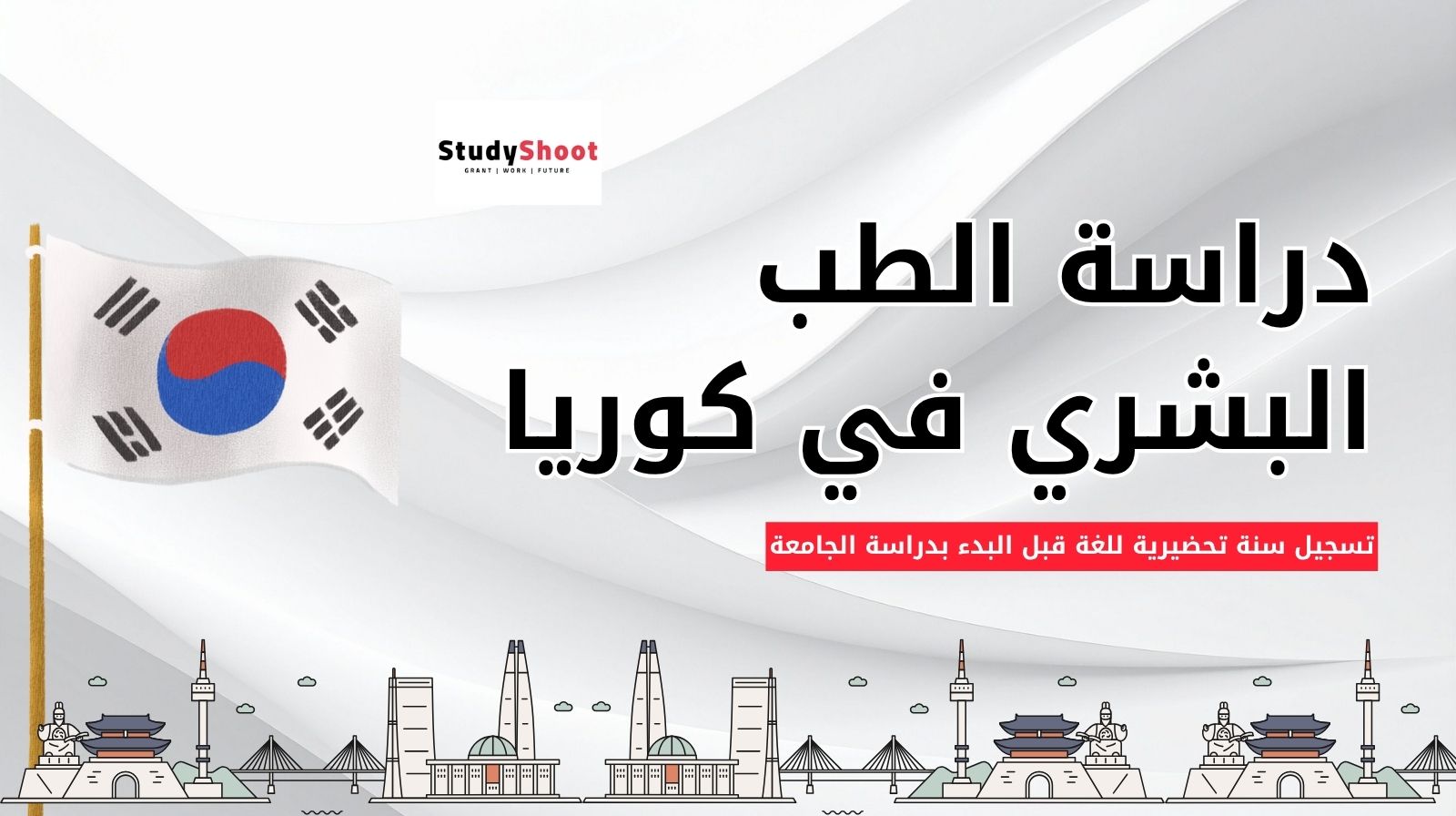 دراسة الطب في كوريا