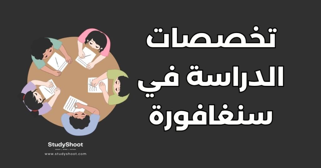 أهم تخصصات الدراسة في سنغافورة