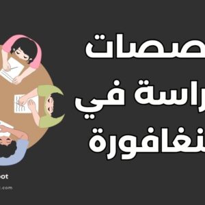 أهم 15 تخصص للدراسة في سنغافورة: دليلك الشامل والجامعات