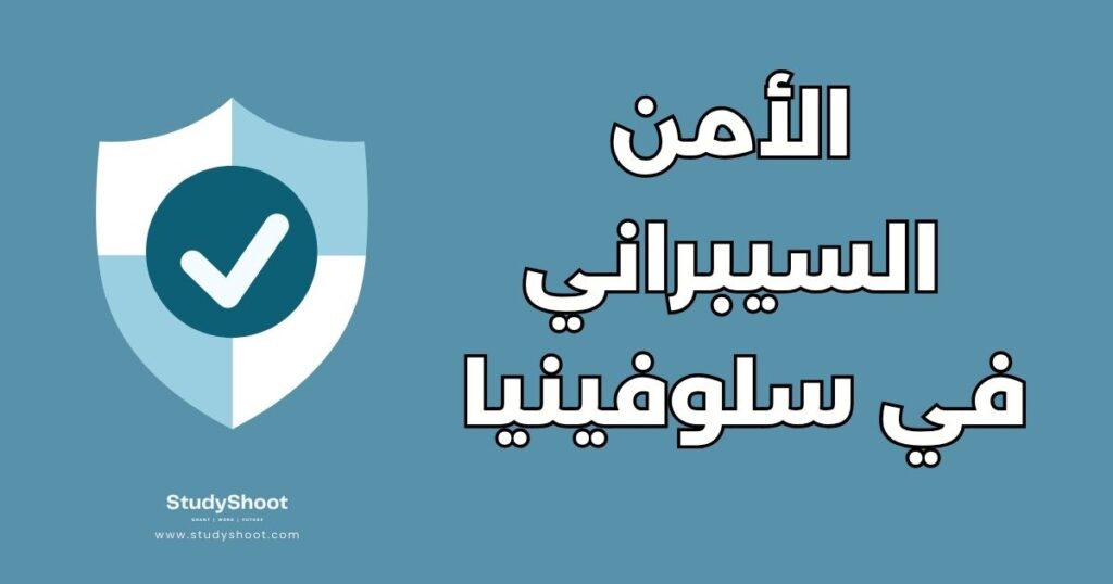 دراسة الأمن السيبراني في سلوفينيا