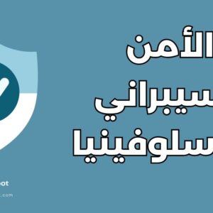 أفضل 10 جامعات ومزايا دراسة الأمن السيبراني في سلوفينيا