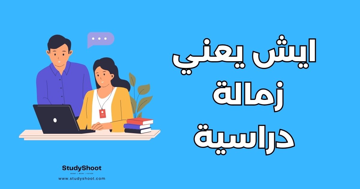 دليل شامل حول الزمالة الدراسية: 10 من أفضل البرامج العالمية