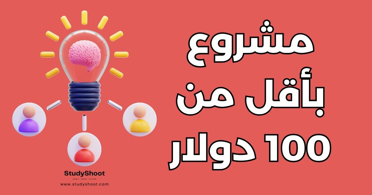 16 فكرة مشروع ناجح يمكنك البدء بها بأقل من 100 دولار