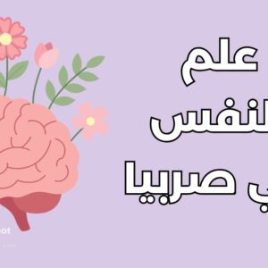 دراسة علم النفس في صربيا: دليل شامل ورسوم أفضل 5 جامعات