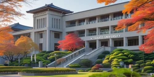 جامعة كيتاساتو
