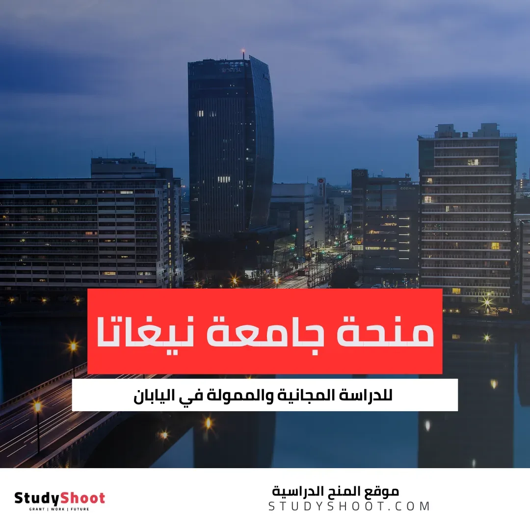 منحة جامعة نيغاتا
