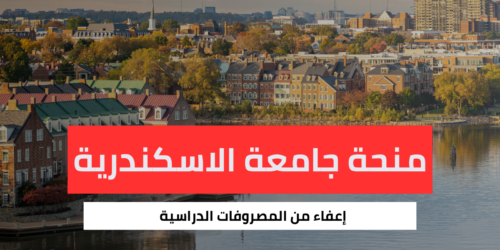 منحة جامعة الاسكندرية