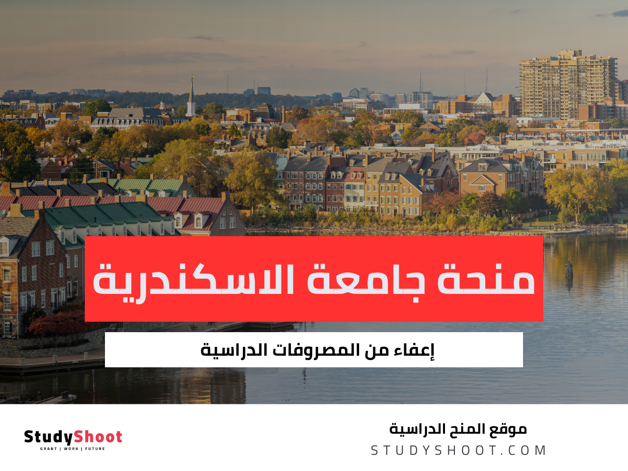 منحة جامعة الاسكندرية