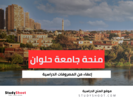 منحة جامعة حلوان