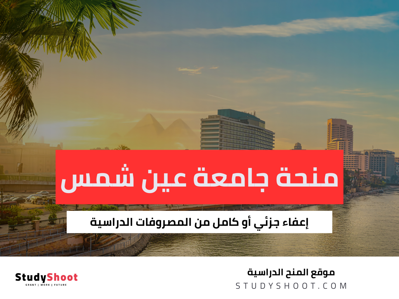 منحة جامعة عين شمس