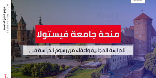 منحة جامعة فيستولا