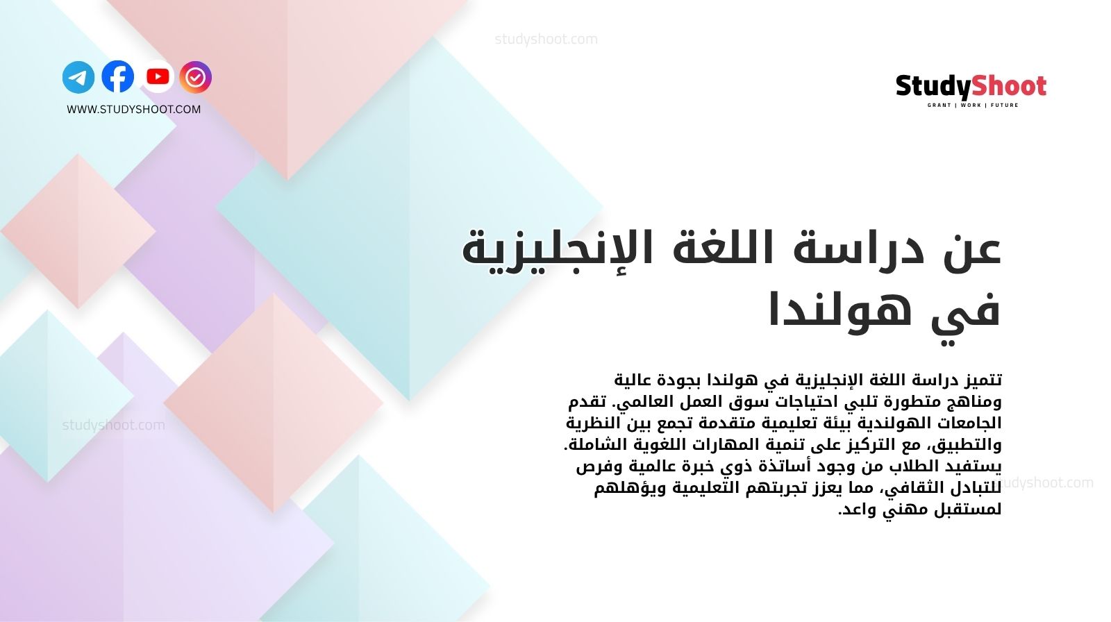 عن دراسة اللغة الإنجليزية في هولندا