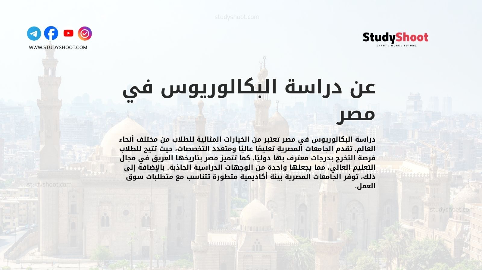 عن دراسة البكالوريوس في مصر