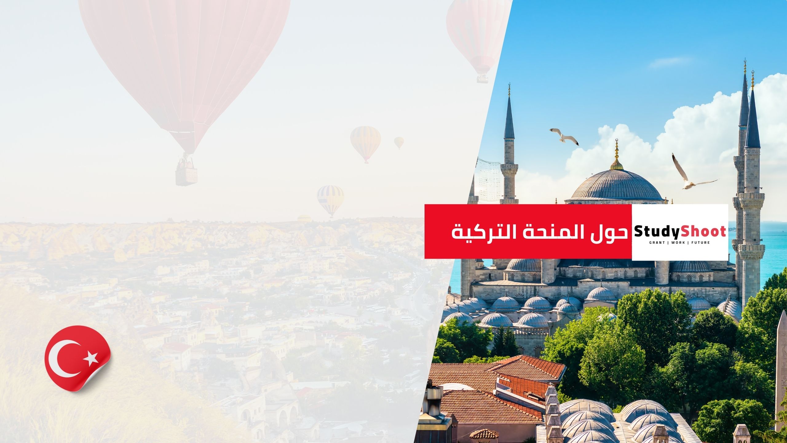 حول المنحة التركية