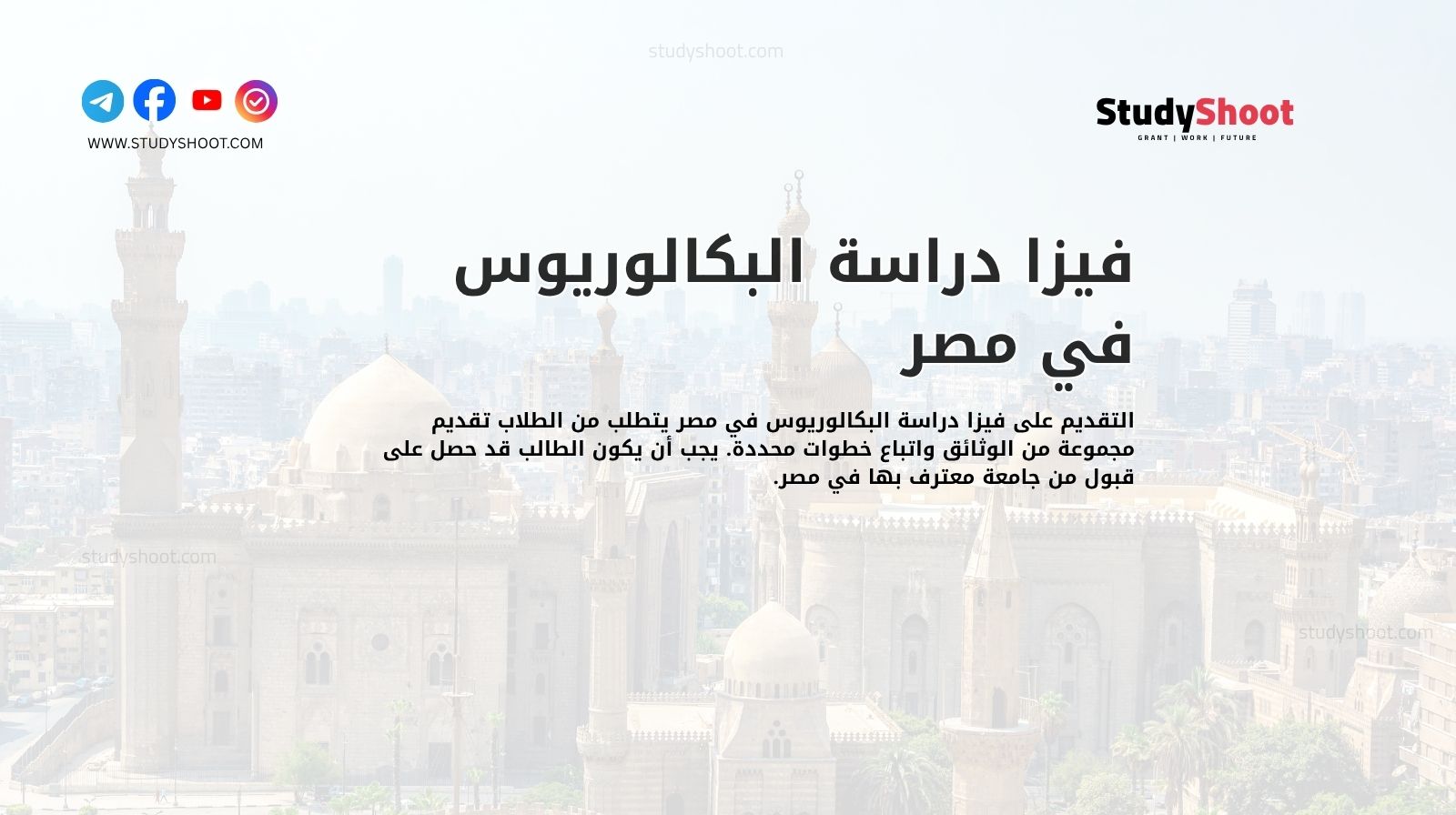 فيزا دراسة البكالوريوس في مصر