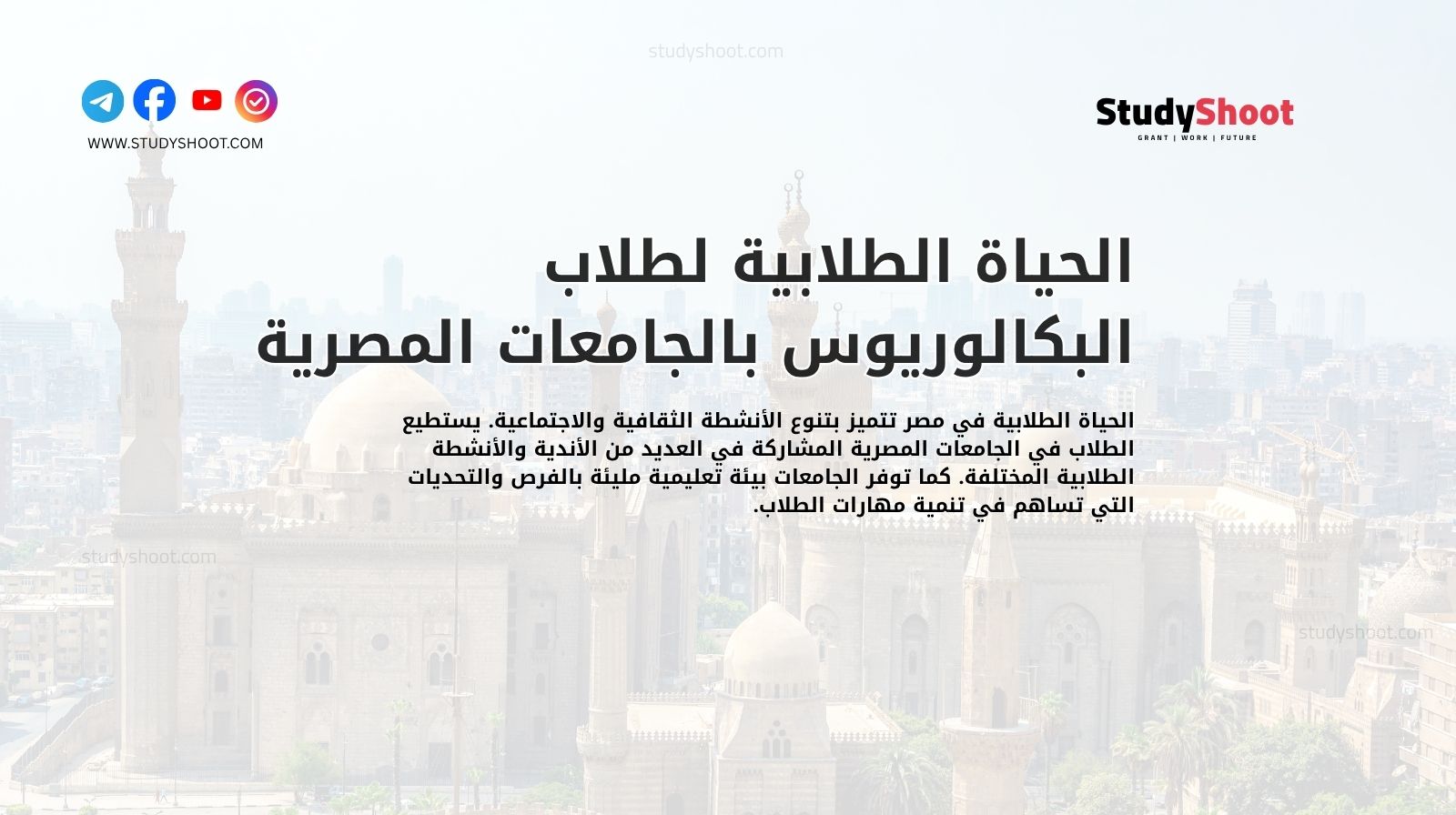 الحياة الطلابية لطلاب البكالوريوس بالجامعات المصرية