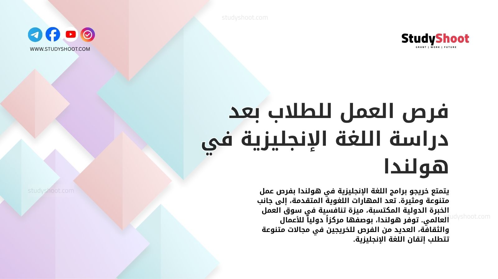 فرص العمل للطلاب بعد دراسة اللغة الإنجليزية في هولندا