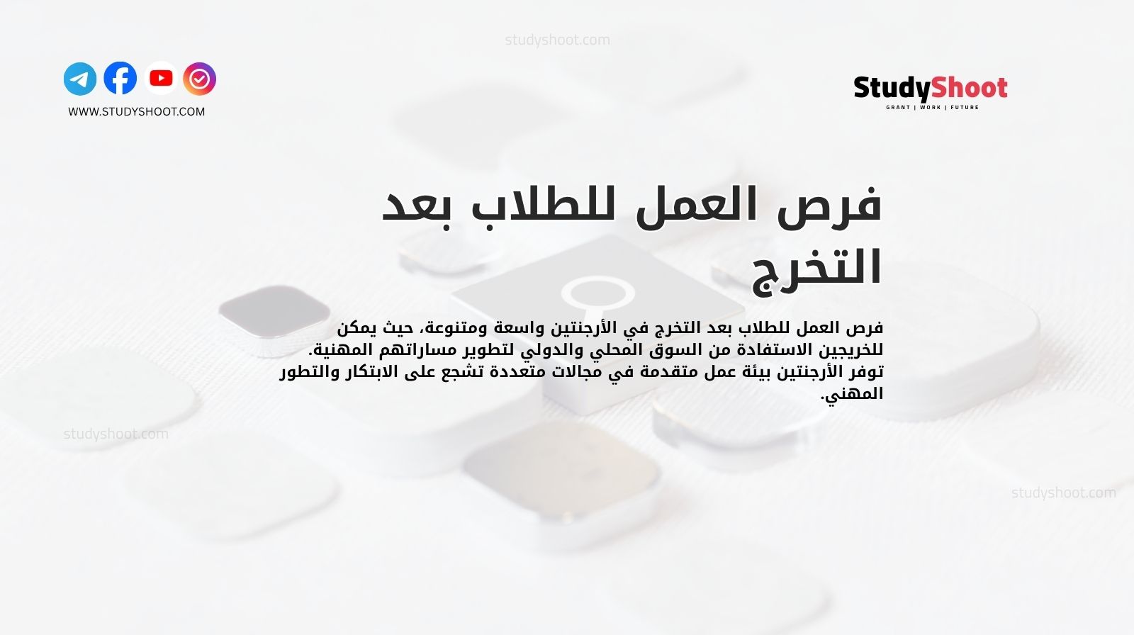 فرص العمل للطلاب بعد التخرج