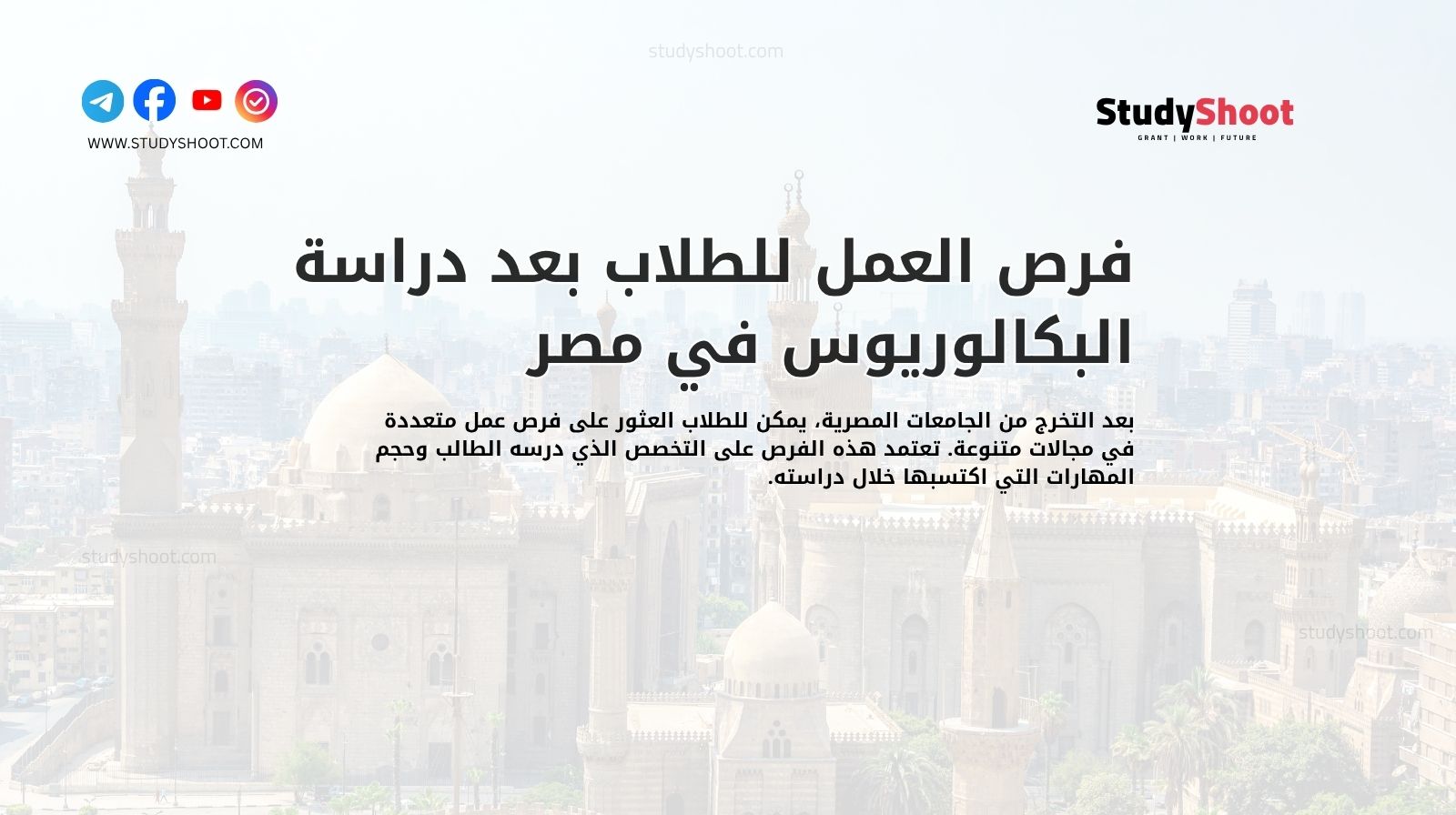 فرص العمل للطلاب بعد دراسة البكالوريوس في مصر