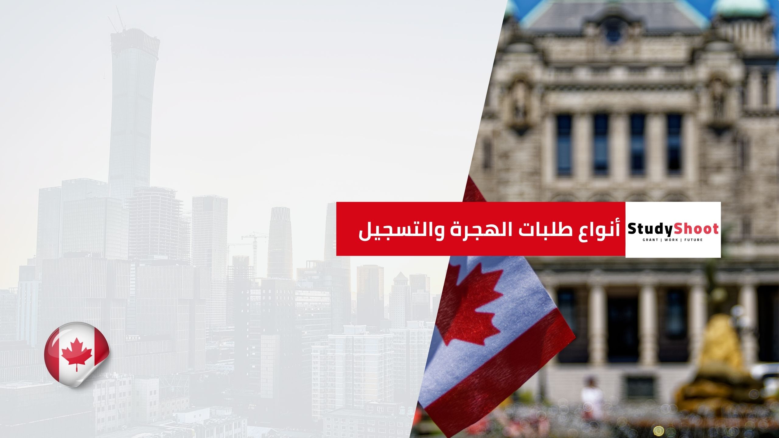 جدول يوضح أنواع طلبات الهجرة