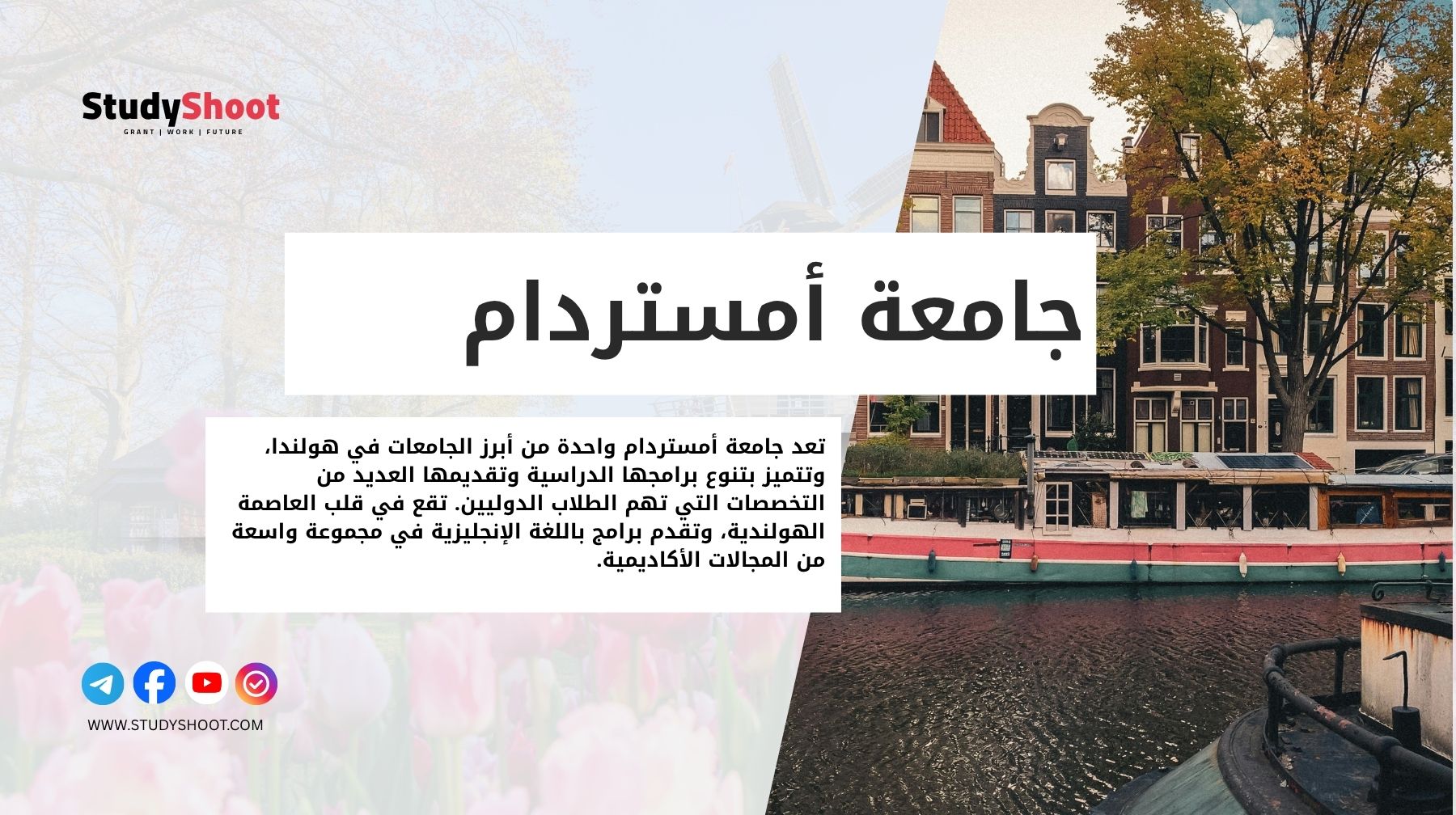 جامعة أمستردام