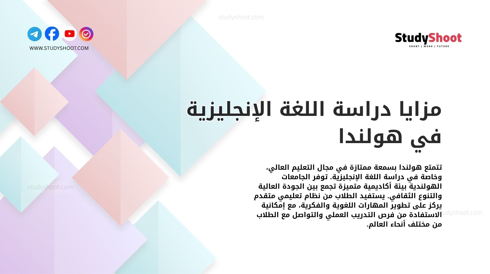 مزايا دراسة اللغة الإنجليزية في هولندا