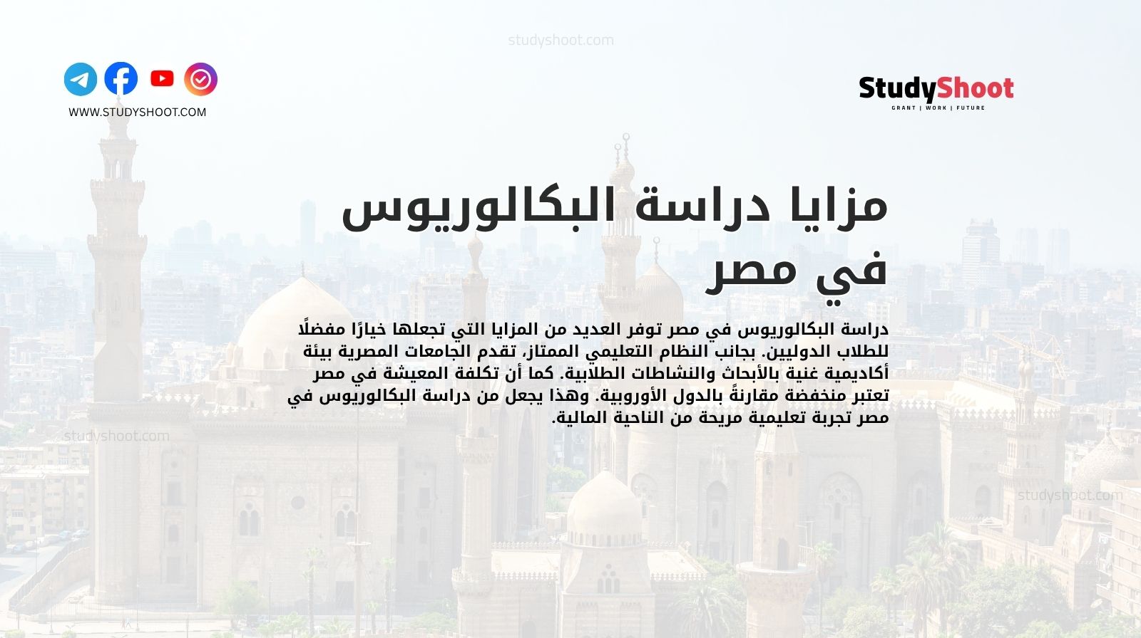 مزايا دراسة البكالوريوس في مصر