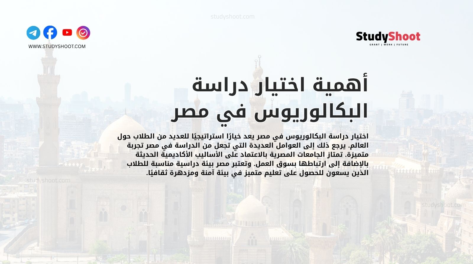 أهمية اختيار دراسة البكالوريوس في مصر