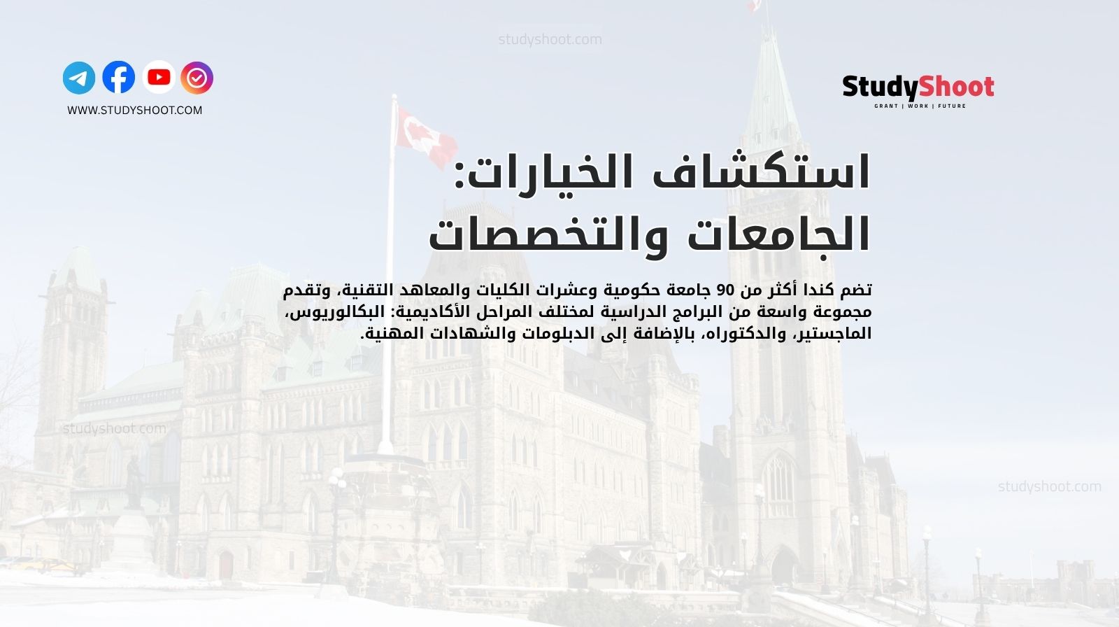 استكشاف الخيارات: الجامعات والتخصصات