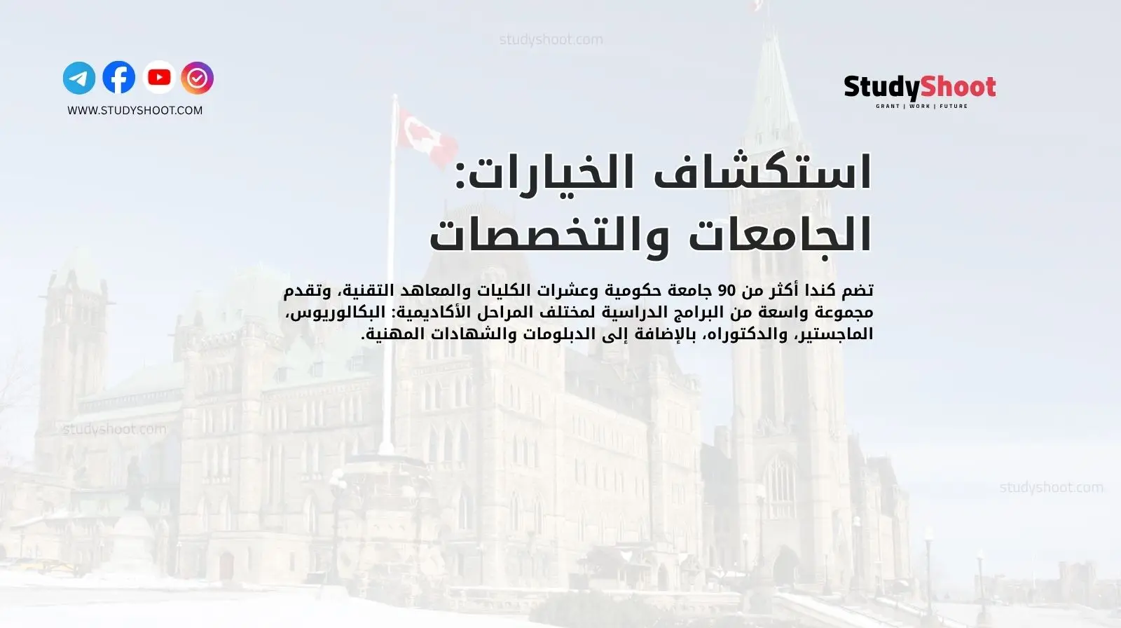 استكشاف الخيارات: الجامعات والتخصصات