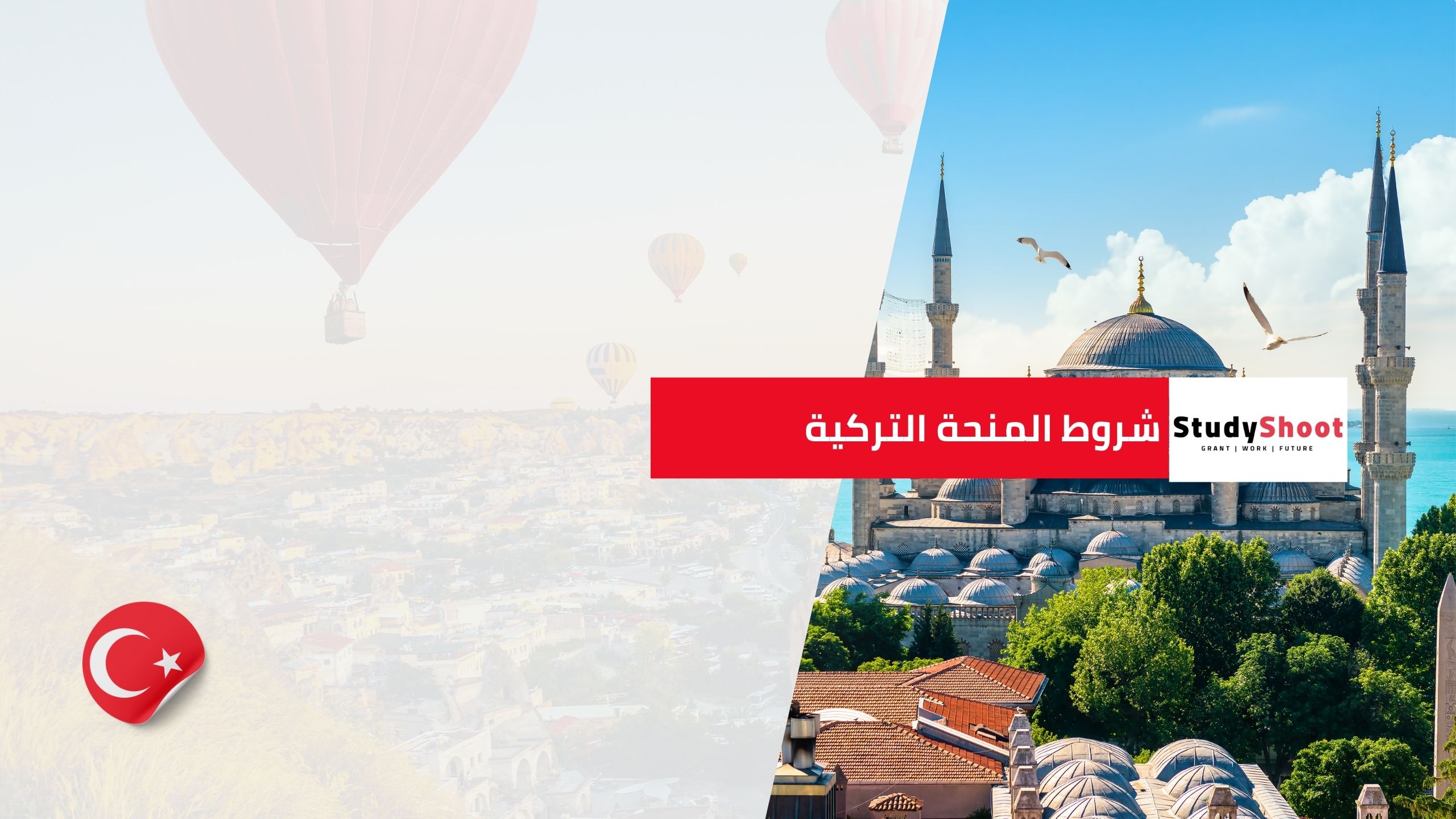 شروط المنحة التركية