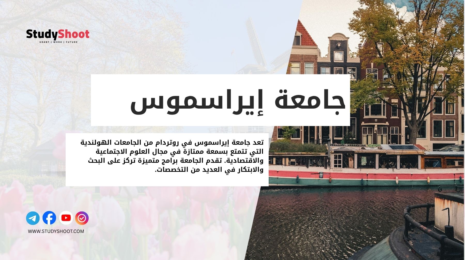 جامعة إيراسموس روتردام