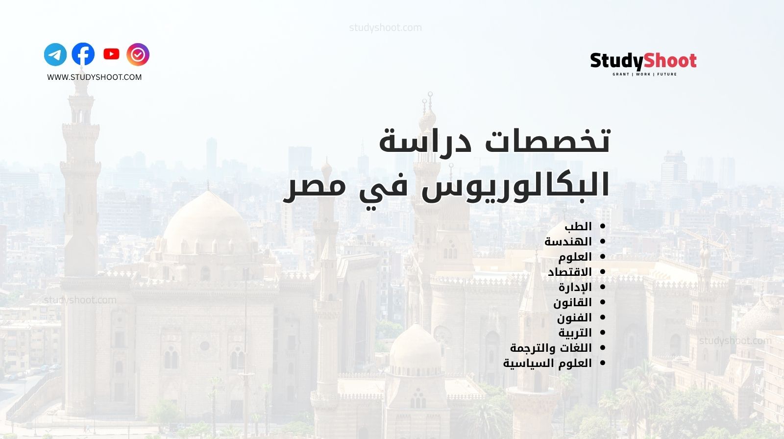 تخصصات دراسة البكالوريوس في مصر