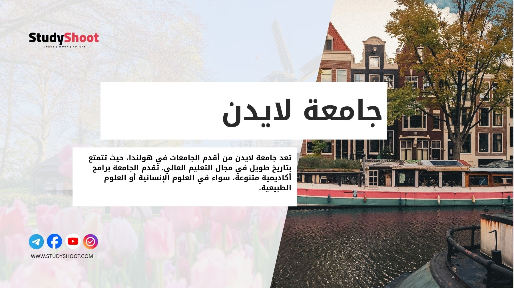 جامعة لايدن