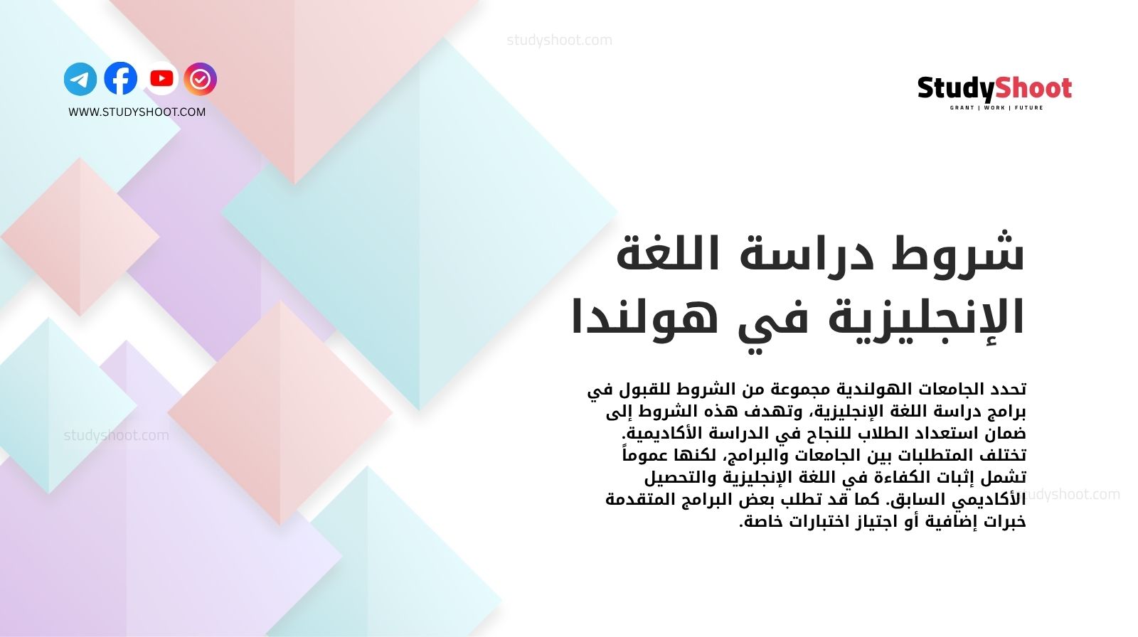 شروط دراسة اللغة الإنجليزية في هولندا