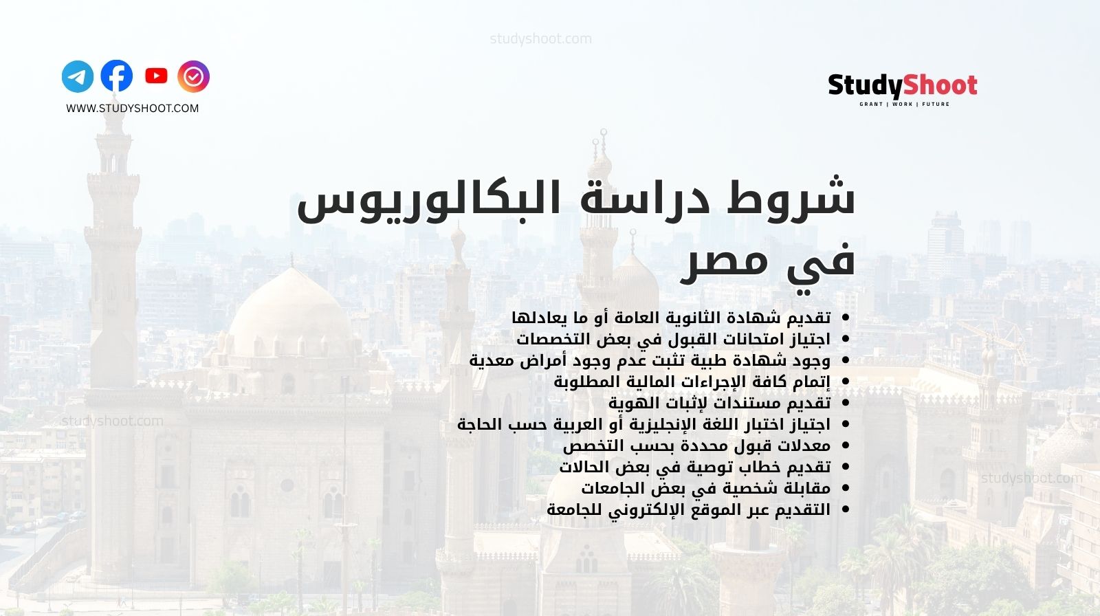 شروط دراسة البكالوريوس في مصر