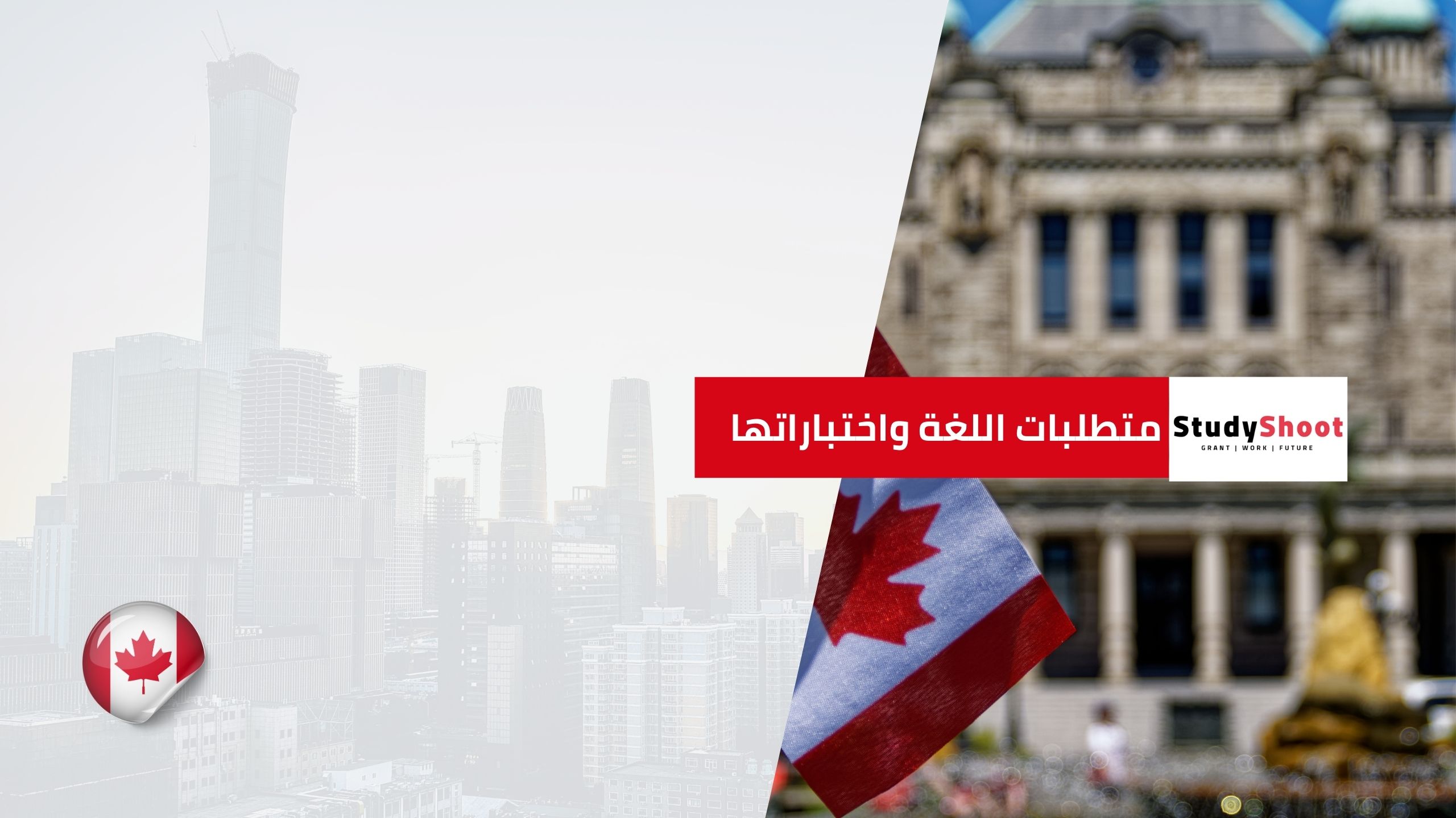 متطلبات اللغة واختباراتها