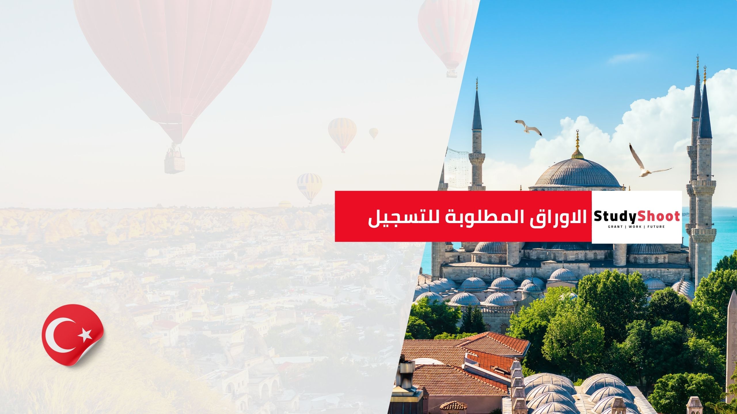 جميع تخصصات المنحة التركية المقبولة