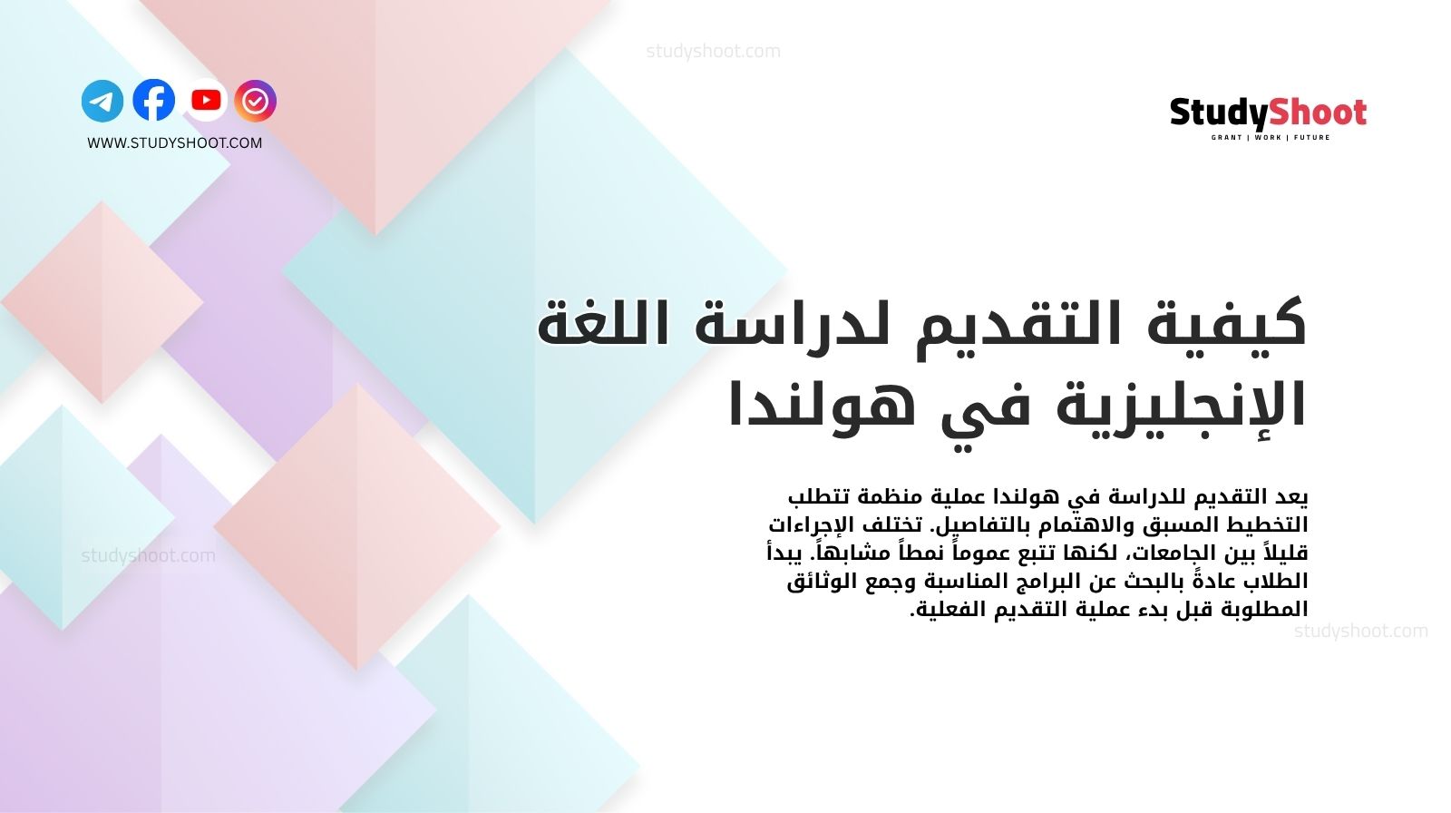 كيفية التقديم لدراسة اللغة الإنجليزية في هولندا