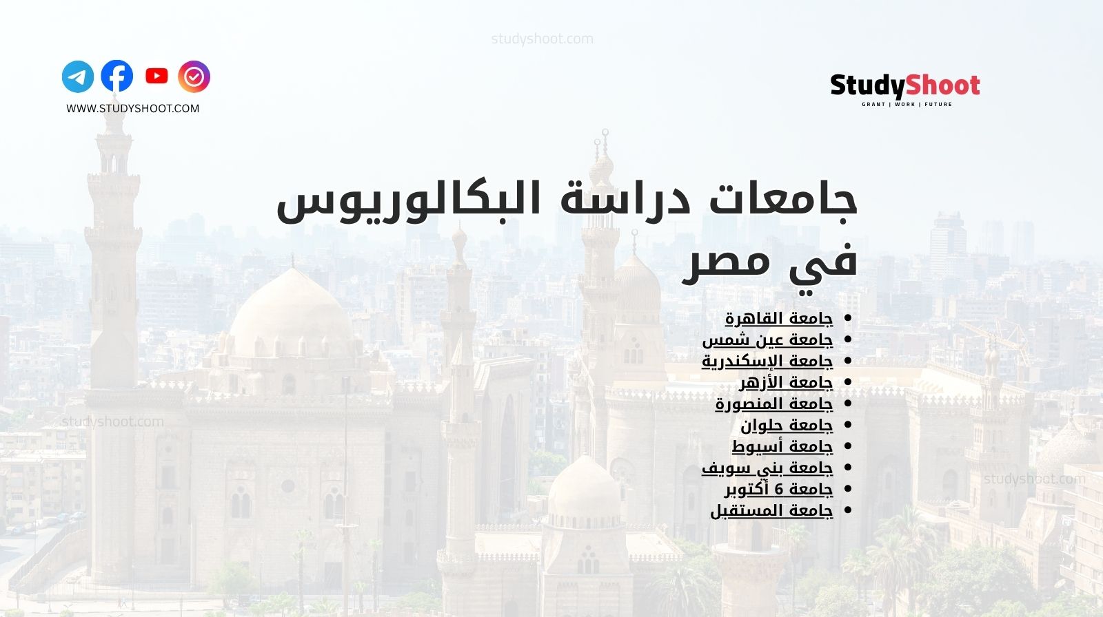 جامعات دراسة البكالوريوس في مصر