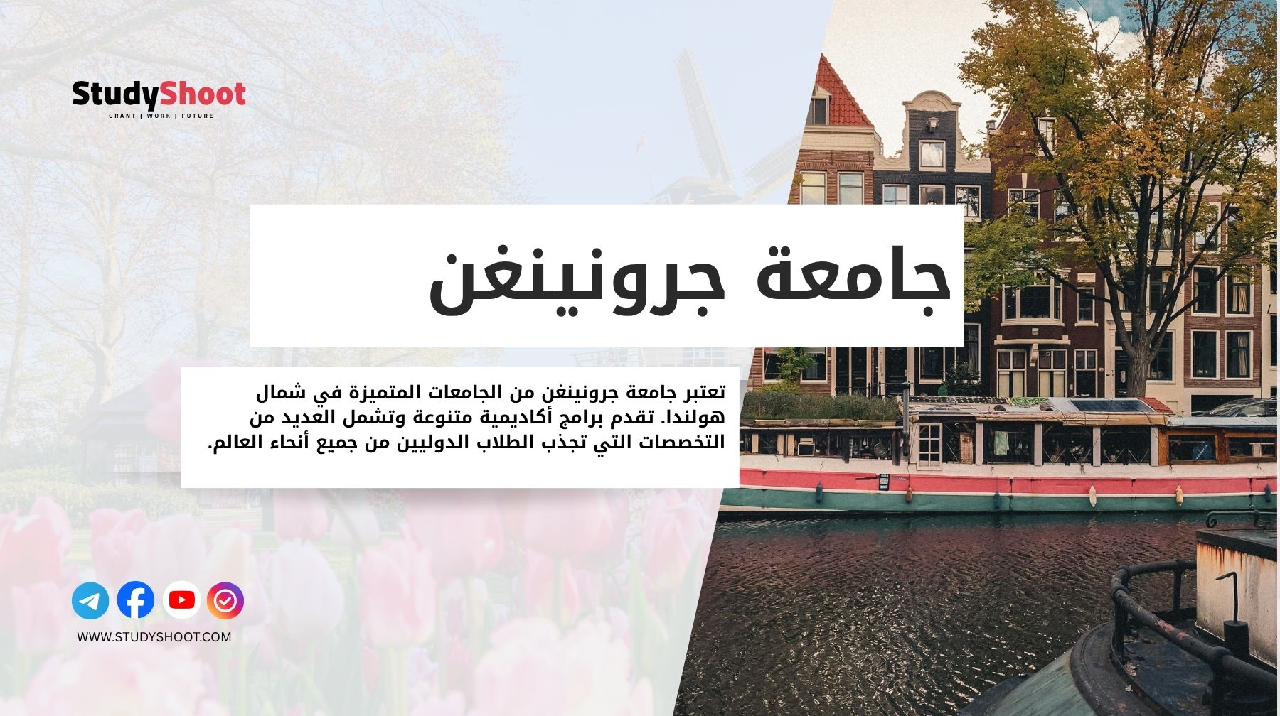 جامعة جرونينغن