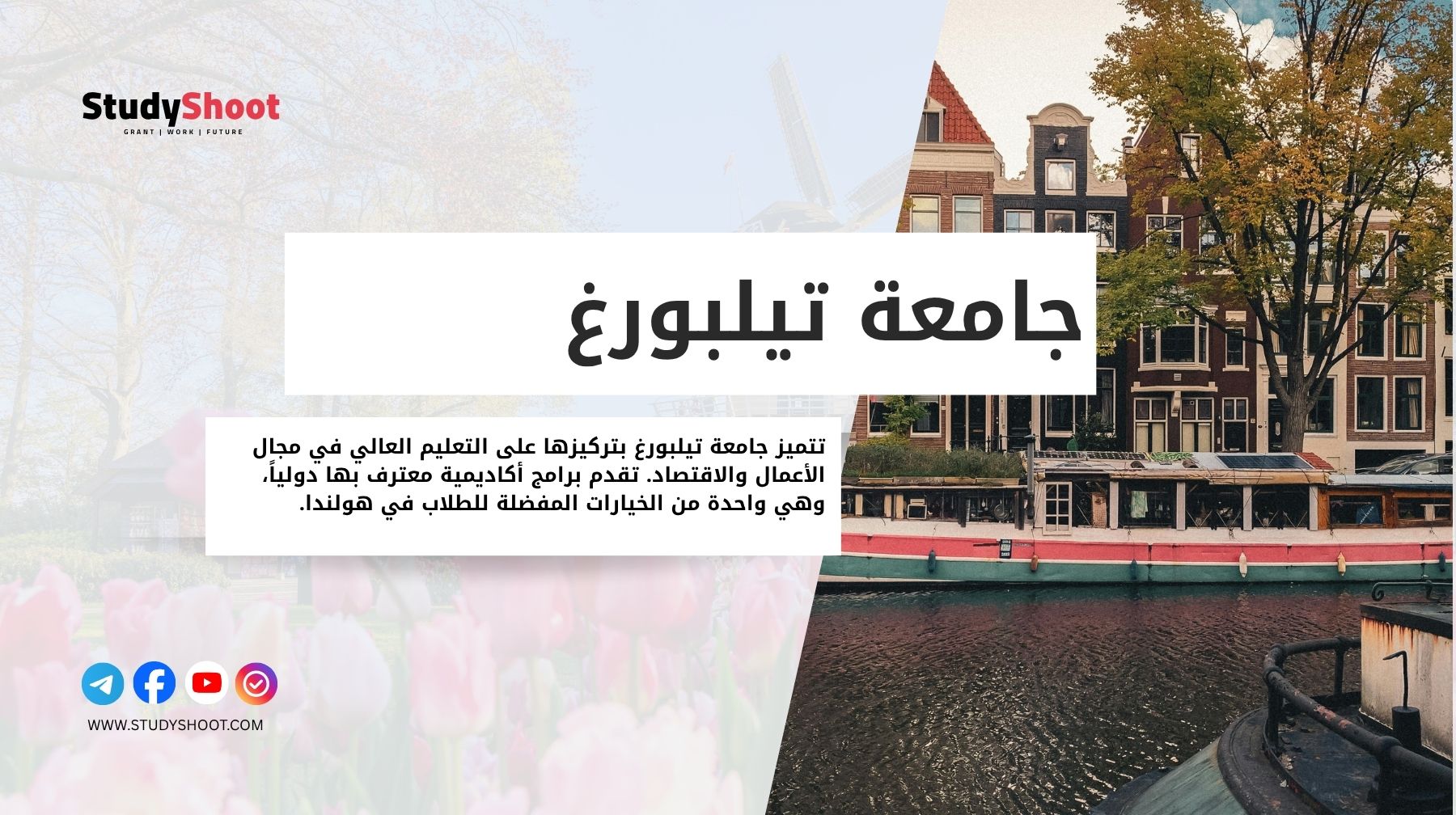 جامعة تيلبورغ